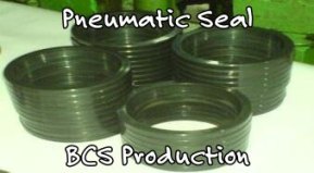 Pneumatic Seal,Spare Part Rubber for Industry,BCS Rubber Industri